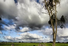 乒超联赛男团决赛 王楚钦3比2战胜林诗栋新华社微博.