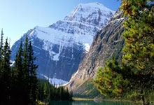 爱游戏：因手术赛季报销，迪巴拉：我将伤缺一段时间，会继续支持队友.