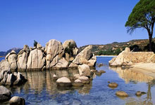 爱游戏：布拉德利：输给热刺3天后希望重回胜利之路，足总杯对手将迎来重要时刻.